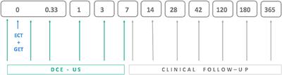 Results of Dynamic Contrast-Enhanced Ultrasound Correlate With Treatment Outcome in Canine Neoplasia Treated With Electrochemotherapy and Interleukin-12 Plasmid Electrotransfer